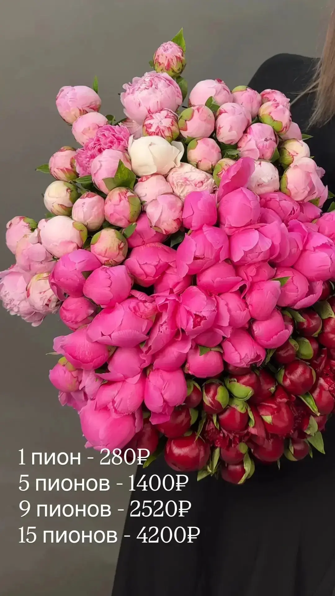 Мы получили большую поставку и ждем вас!
⠀
Пионы - 280₽ (любое количество)
Хризантема Сантини - 170₽