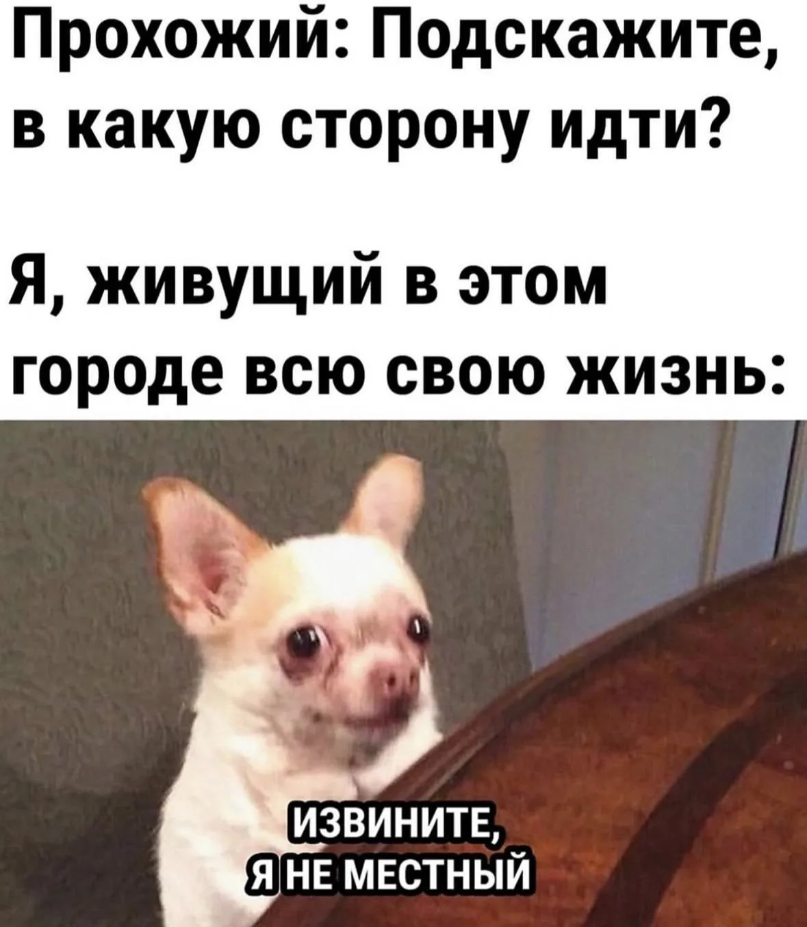 Извините