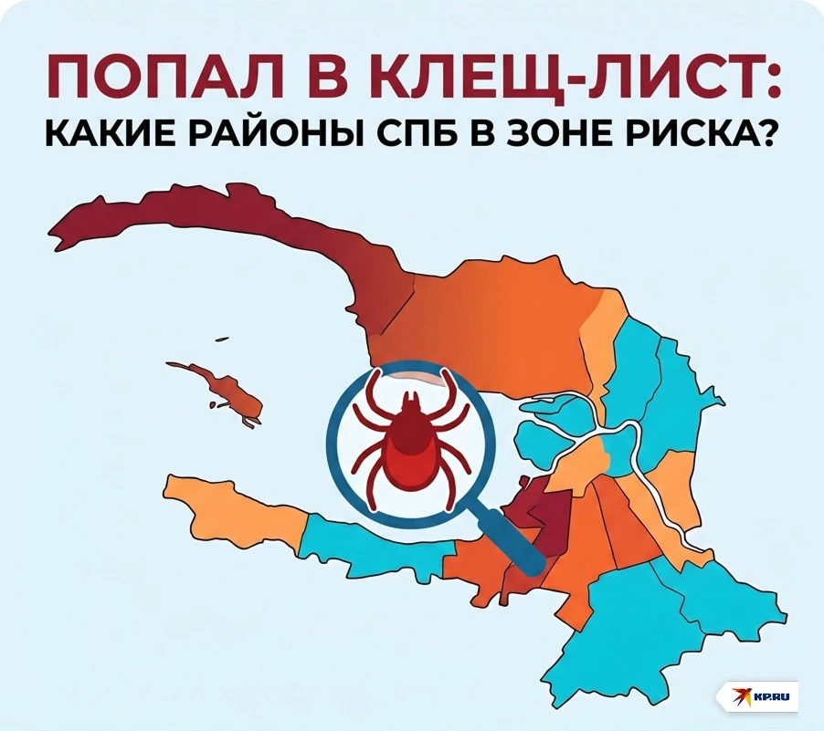 ❌ Клещи атакуют Петербург: более тысячи укусов за неделю

За неделю от клещей пострадали больше тыся