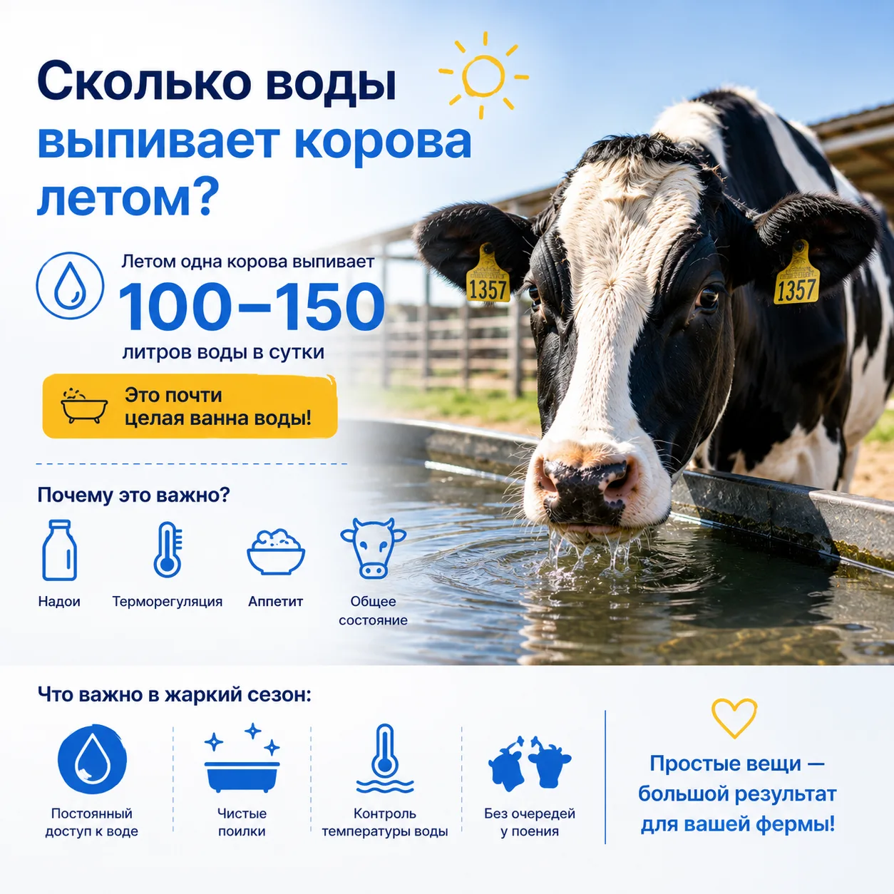 ☀️ Сколько воды выпивает корова летом?

Летом потребность коров в воде резко возрастает 💧

В жаркий