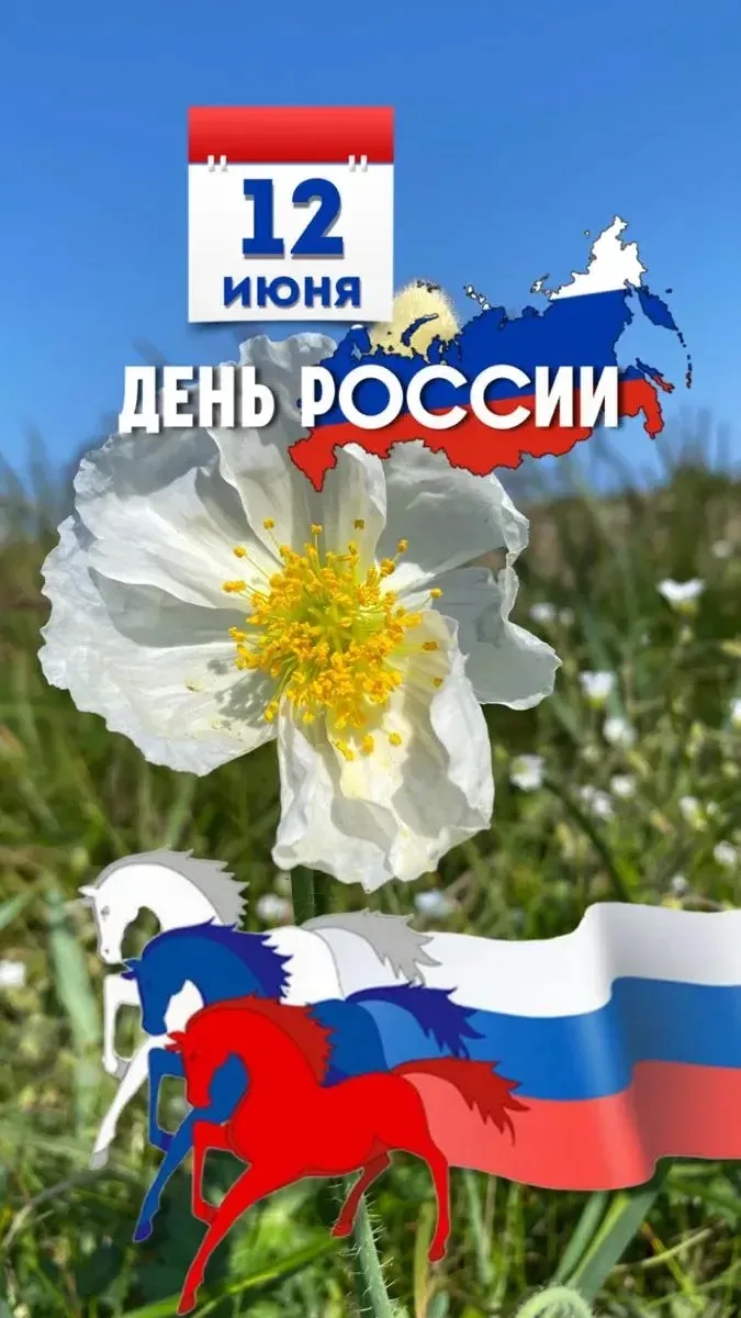 С Днем России! Мира, тепла, добра, радости и света всем нам!

Напоминаем, завтра 12 июня - выходной!
