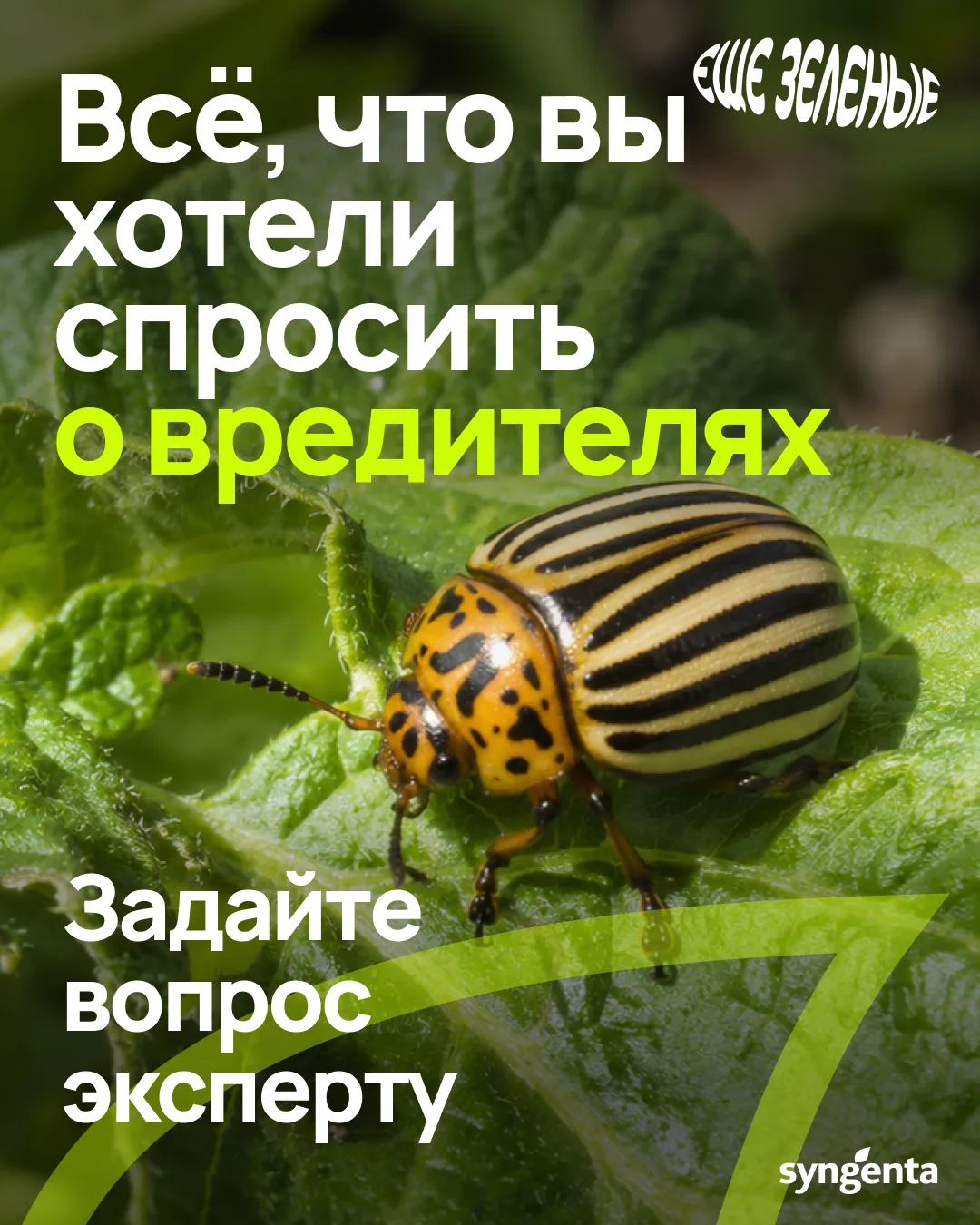 Записываем новый выпуск подкаста «Ещё зелёные» — на этот раз о вредителях 🌿

Наш гость — Иван Дубов