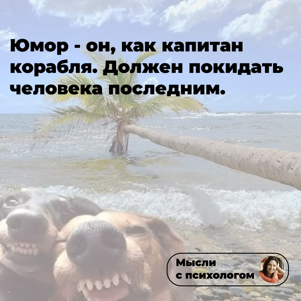 Доброе утро! Пусть у вас сегодня будет юморное настроение!☺️

👉 ссылка на мой блог