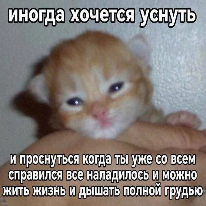 вообще всегда так хочется просыпаться

GIRL'S MEMES