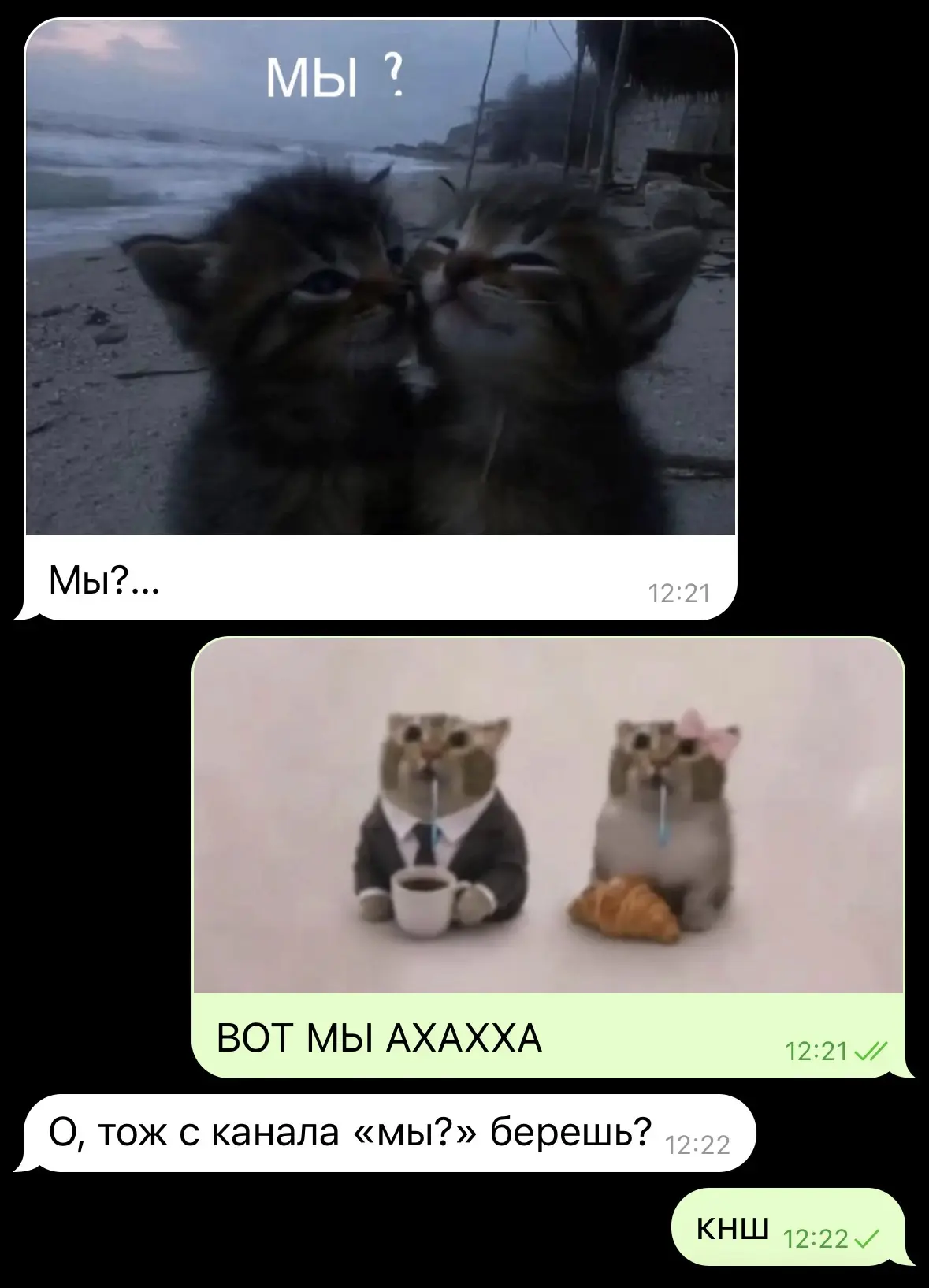 Мы?
Мы?
Мы?