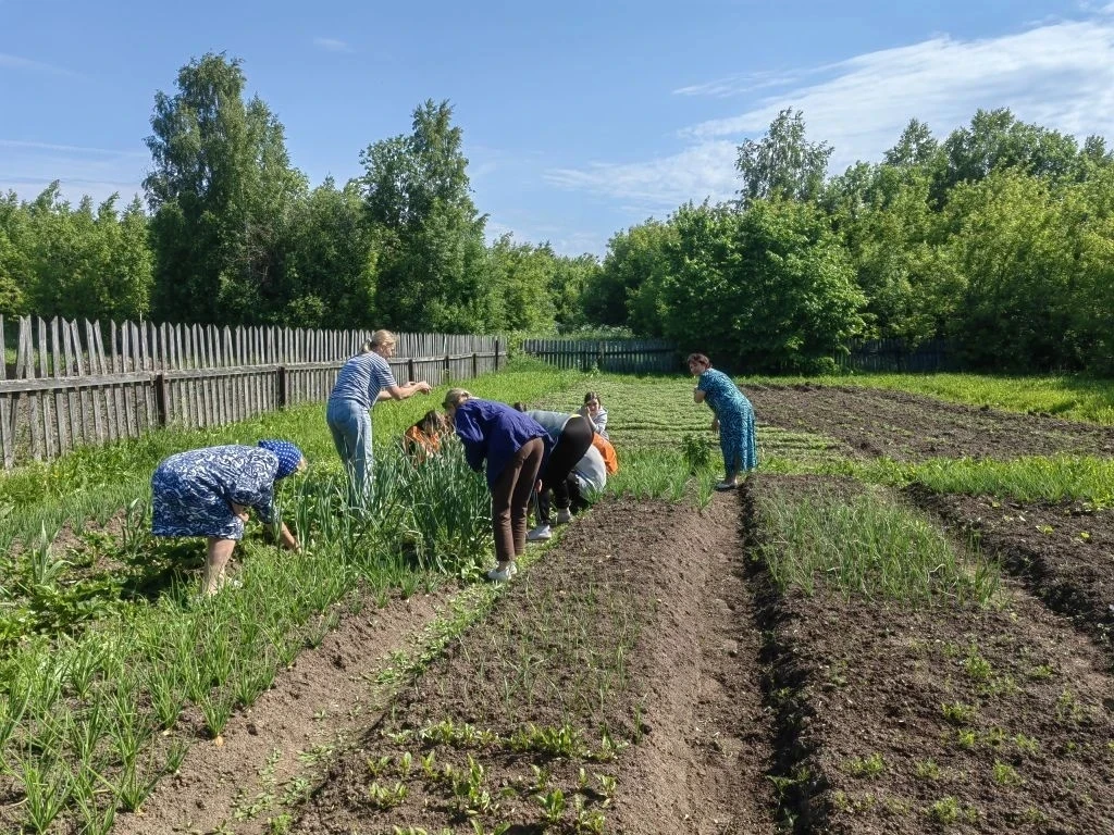 🌸 Когда силы уже не те, а огород требует внимания, на помощь приходят добрые сердца.

Социальные ра
