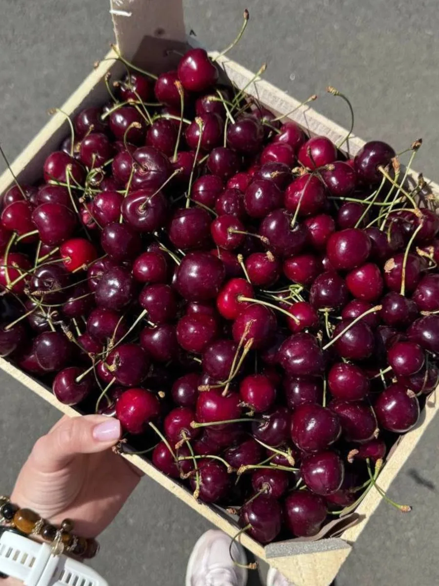 🍓🍒 СВОБОДНАЯ ПРОДАЖА СЕГОДНЯ! 🍒🍓

Впереди длинные выходные и праздник - самое время порадовать с