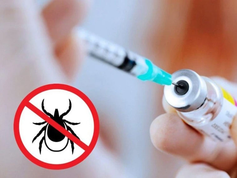 Уважаемые жители!

✳️Приглашаем Вас на вакцинацию против клещевого энцефалита! 
🌲Наш район относитс