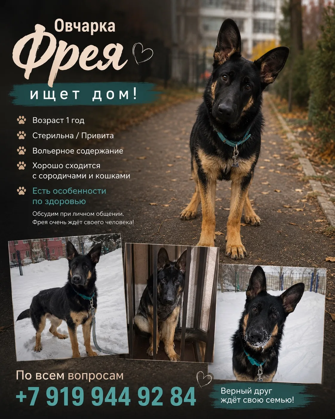 Телефон 89199449284