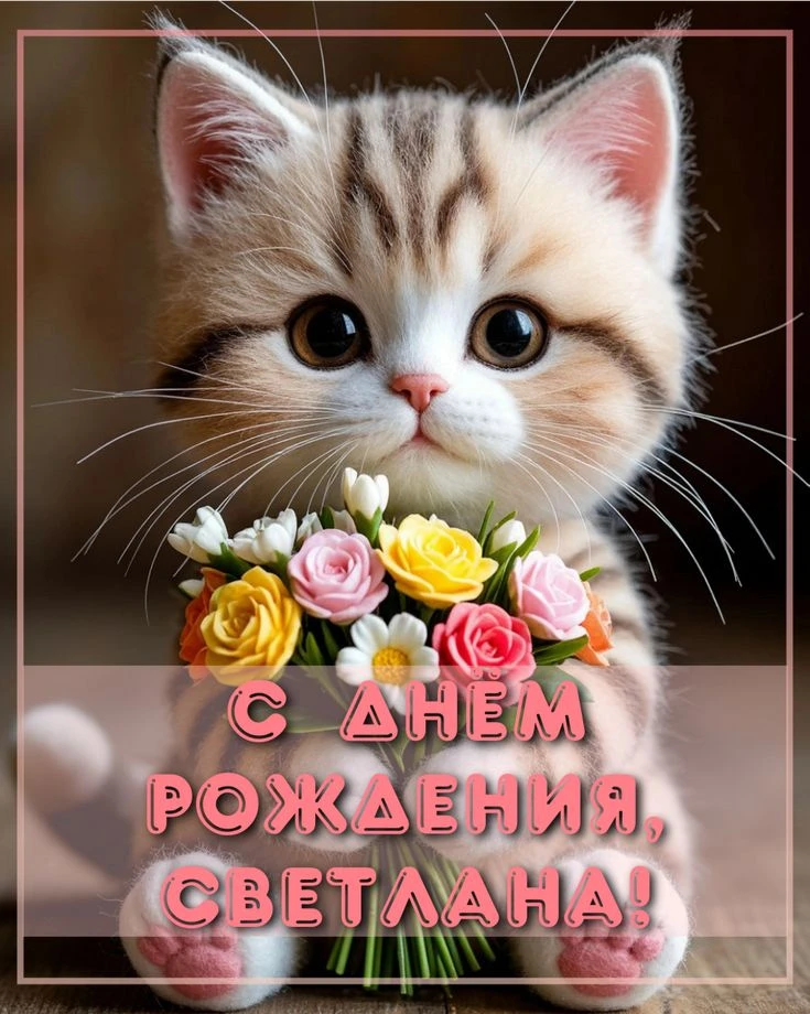 С днём рождения, Светлана! 46 — прекрасный возраст: есть мудрость, но ещё столько сил и планов! Ты у