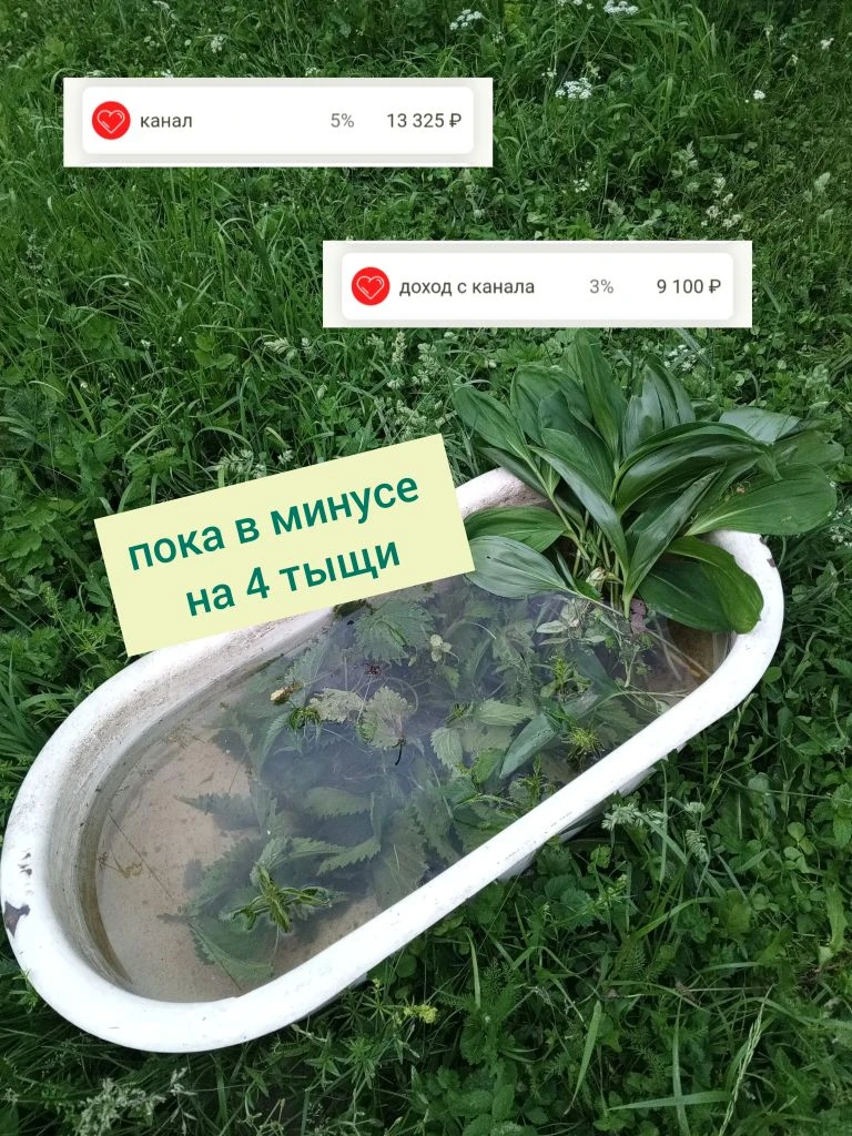 14 июня. 🐠
Я сегодня настолько утомилась, что написала «марта». 🤦‍♀️ 
До этого разок июль был. )

