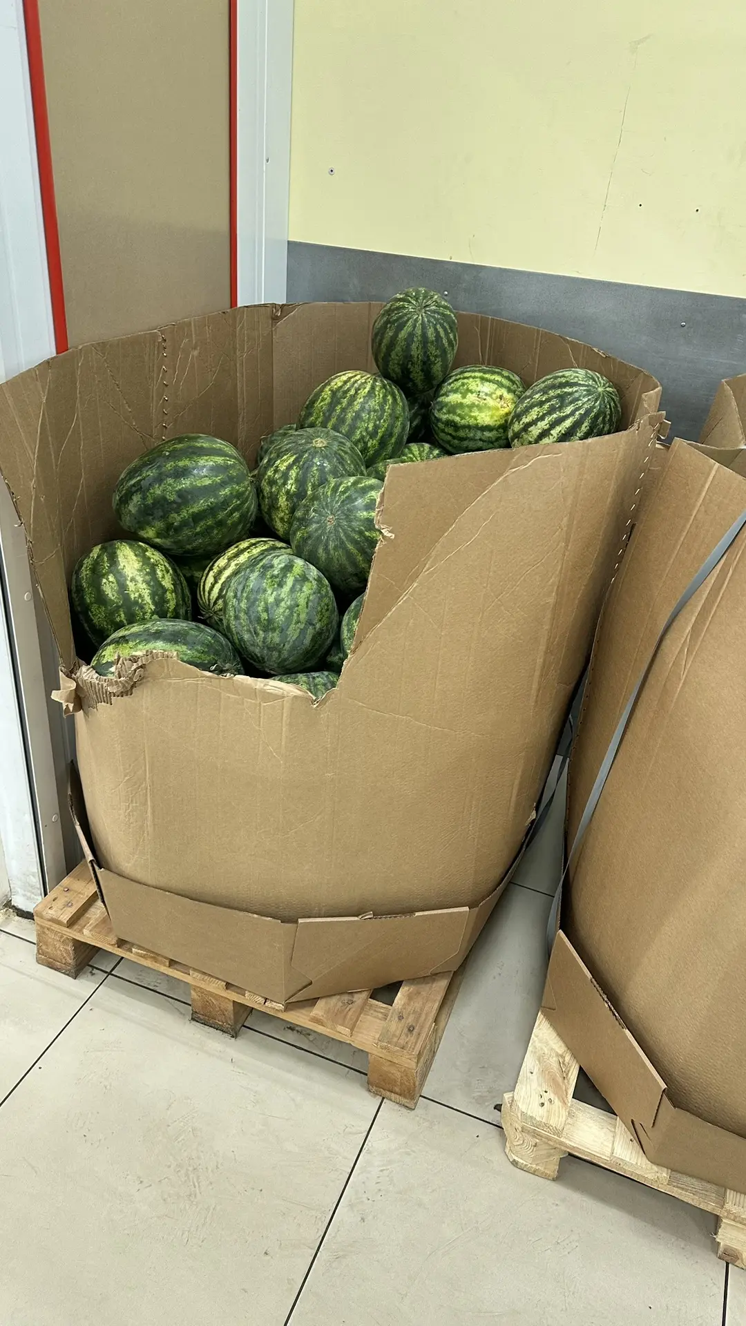 Продсклад Победа🍉
+- примерно такие цены сейчас во всех магазинах
Может кто видел дешевле👀