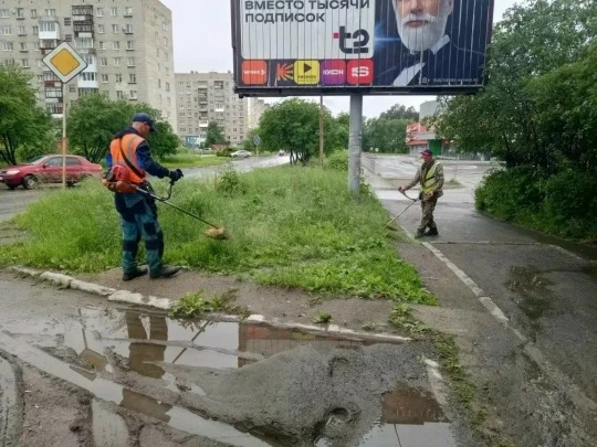 Коммунальщики продолжают облагораживать городские газоны и клумбы

Рабочие занимаются окоской травы 