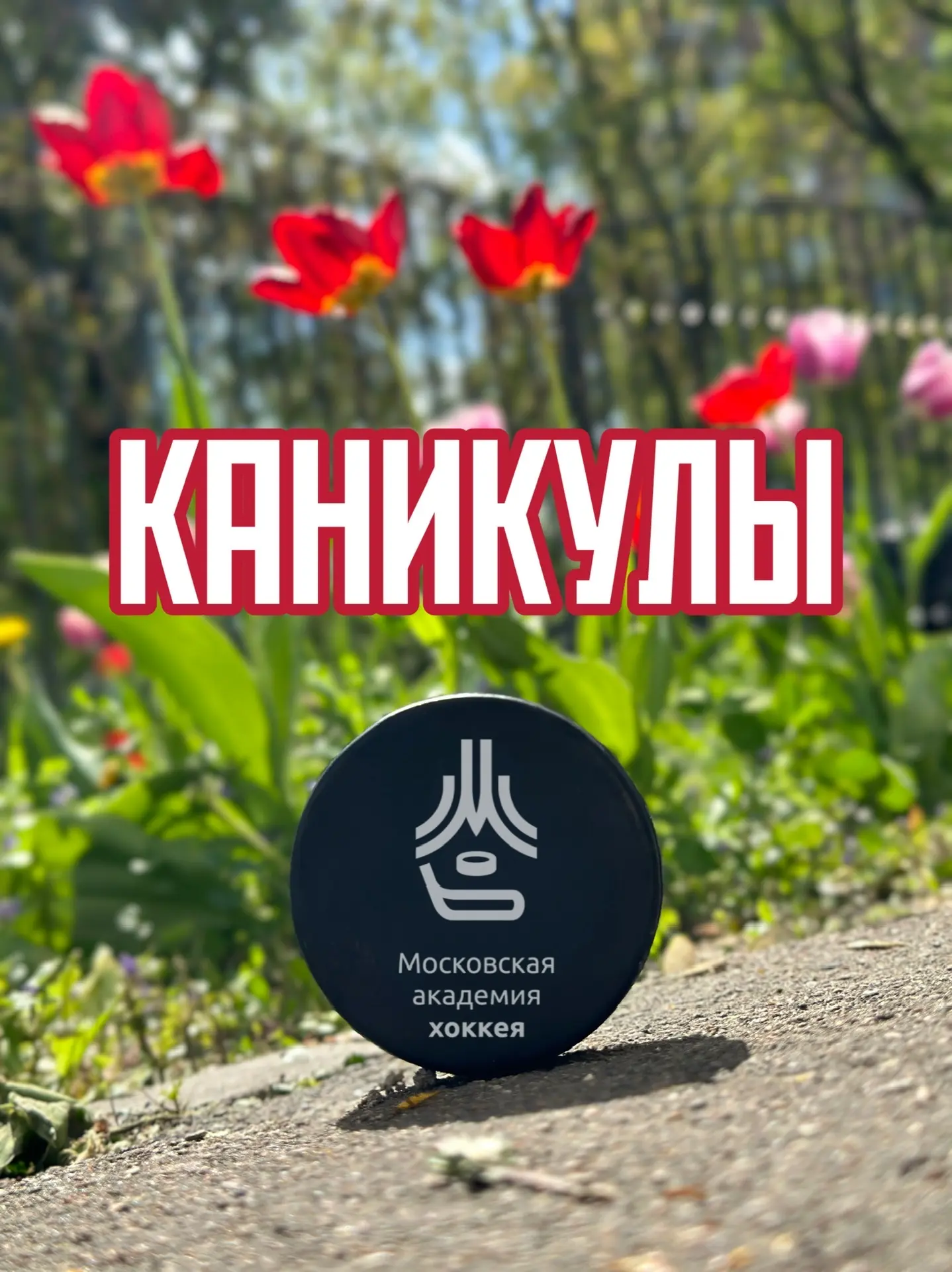 Вот и подошёл к концу сезон 2025/26!

Он был наполнен интересными событиями, яркими победам и достиж
