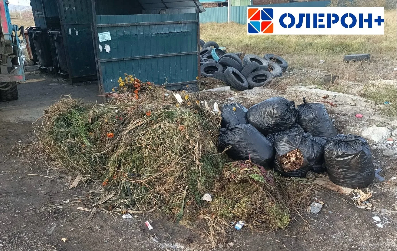 🍂🌳🪾❌Листьям, веткам и сухой траве не место на площадке! Штрафы за растительно-древесные отходы 

