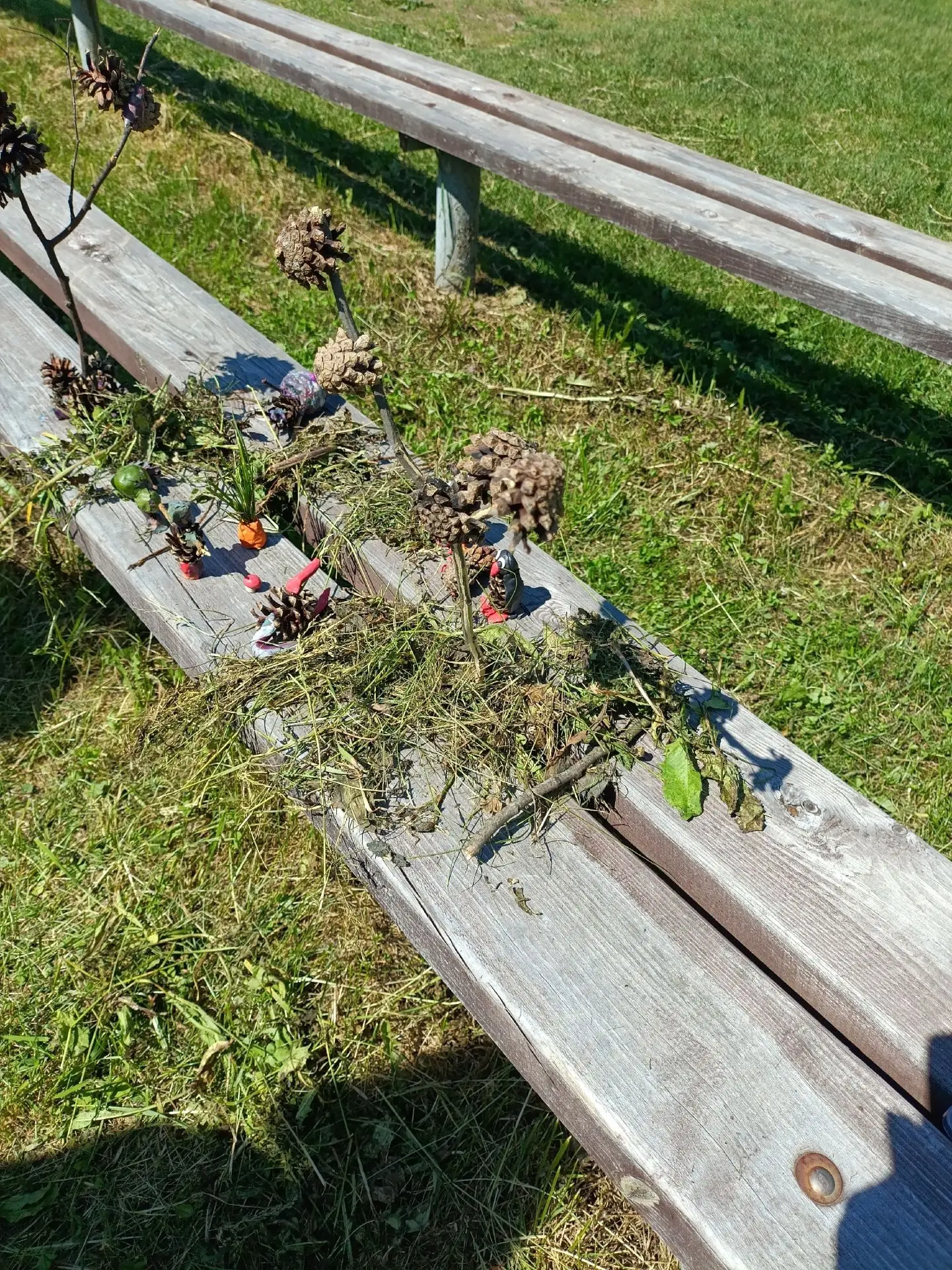 8.06. 2026г.в нашем лагере прошел экологический день. Поиграли в "Свою игру", где детям пришлось пок