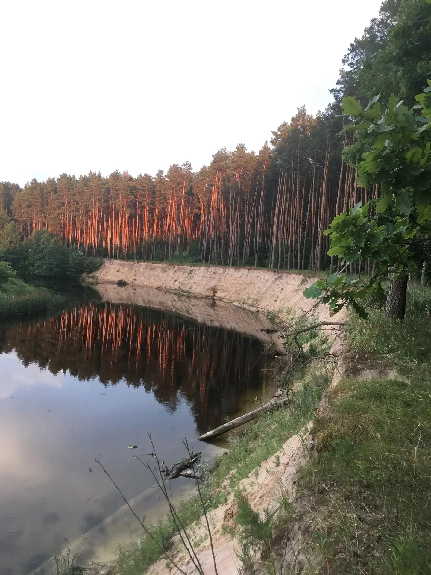 13 июня – особенная дата для Курской области! 
 
 📌В этом году Курская область отпразднует свое 92-