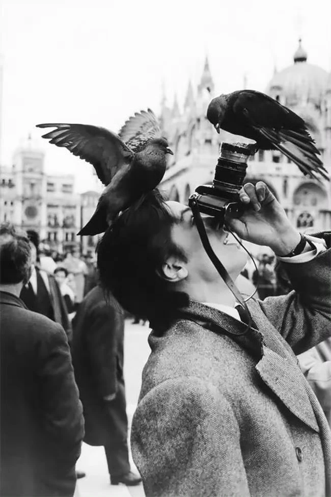 1962 год: Ален Делон на площади Сан-Марко в Венеции фотографирует голубей.