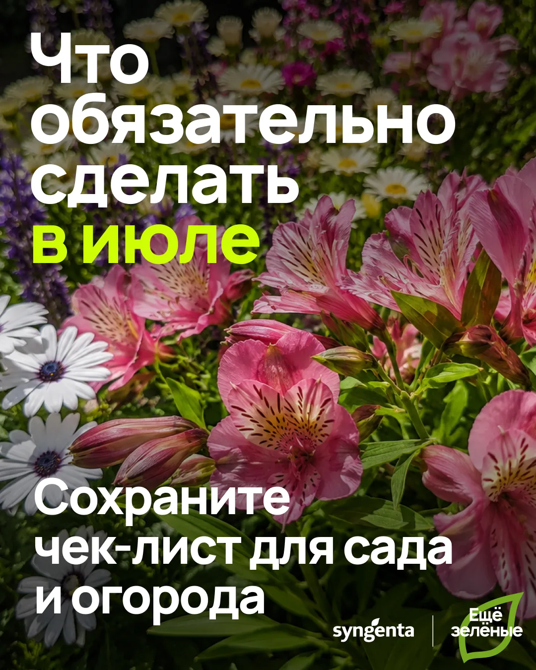 🌿Июль — горячая пора для дачников и садоводов, и не только из-за жары. Растения активно плодоносят,