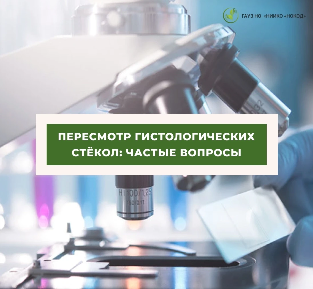 Нередко нам поступают вопросы от подписчиков про пересмотр гистологических стёкол: отвечаем на вопро
