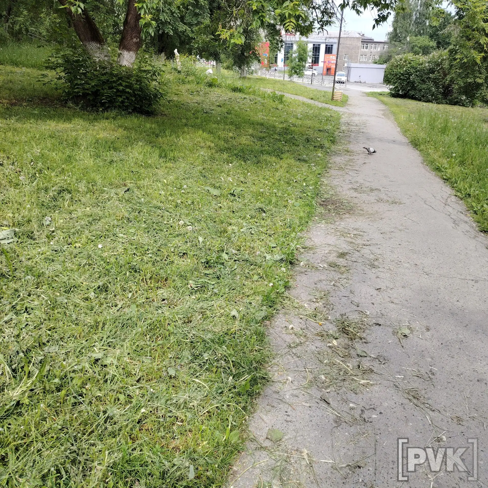 🫠 «На аллее на улице Ватутина в Первоуральске прошла плановая стрижка травы. Рабочие добросовестно 