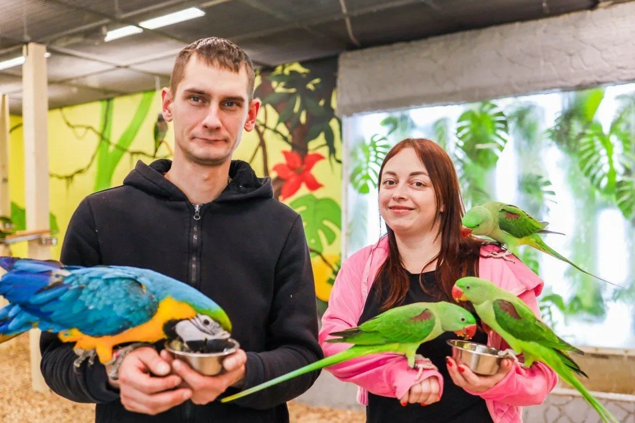 200 попугаев, которых можно покормить с рук: зоопарк «Дом попугаев»

В «Доме попугаев» живут около д