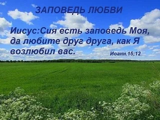 🩵💚🩵💚🩵💚🩵💚🩵

Номер, который уже никогда не ответит,
Будешь ещё иногда набирать по привычке.
В