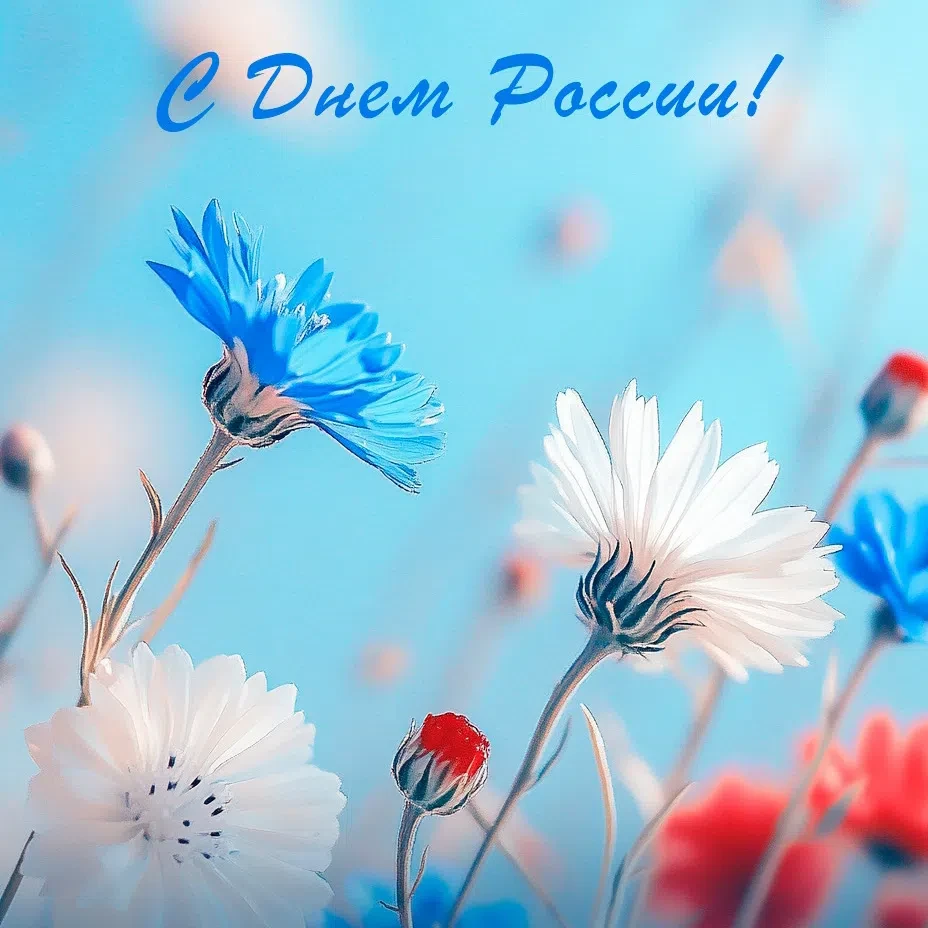 С Днём России🇷🇺
 
1⃣2⃣ июня мы отмечаем главный государственный праздник — день, когда появилась с
