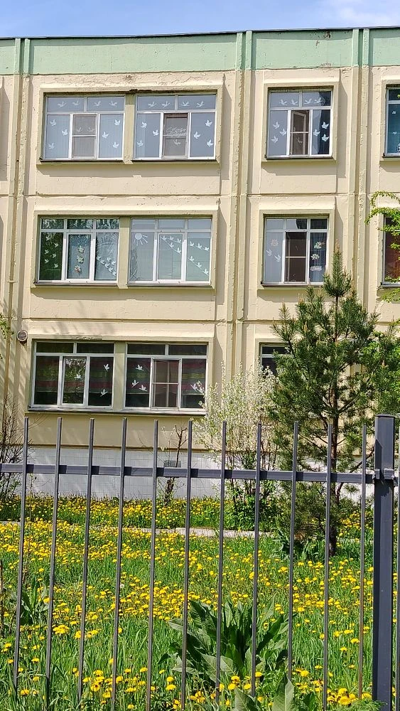 🕊 ОКНА ПОБЕДЫ 🕊
Каждое окно, украшенное к 9 Мая, — это не просто декор. Это наша память, застывшая