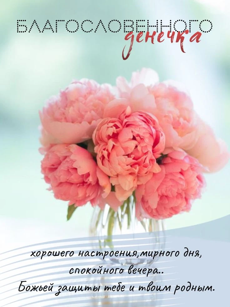 👉 Наши каналы. Подписаться.