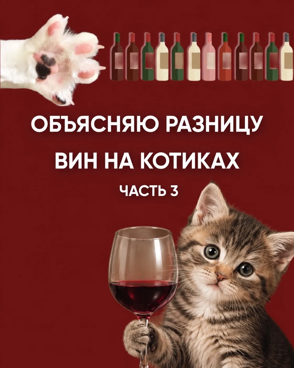 УЧИТЬСЯ ВИНУ НА КОТИКАХ — КРУТО! 
А выбирать отличные вина в сетевых магазинах у дома стало еще прощ