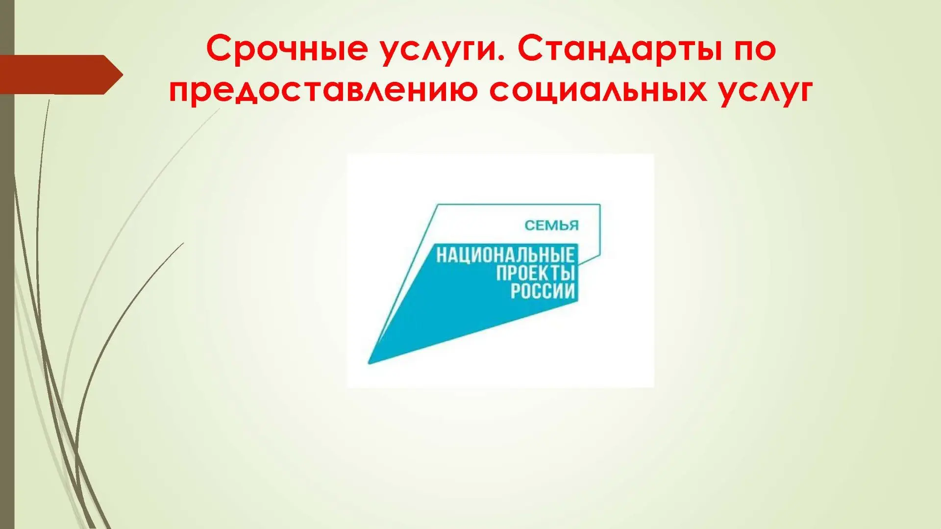Срочные услуги. Стандарты по предоставлению социальных услуг