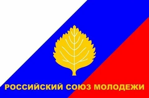 Сегодня, 3 июня, в молодежном центре «Коса» прошло мероприятие, посвященное дню рождения Российскому