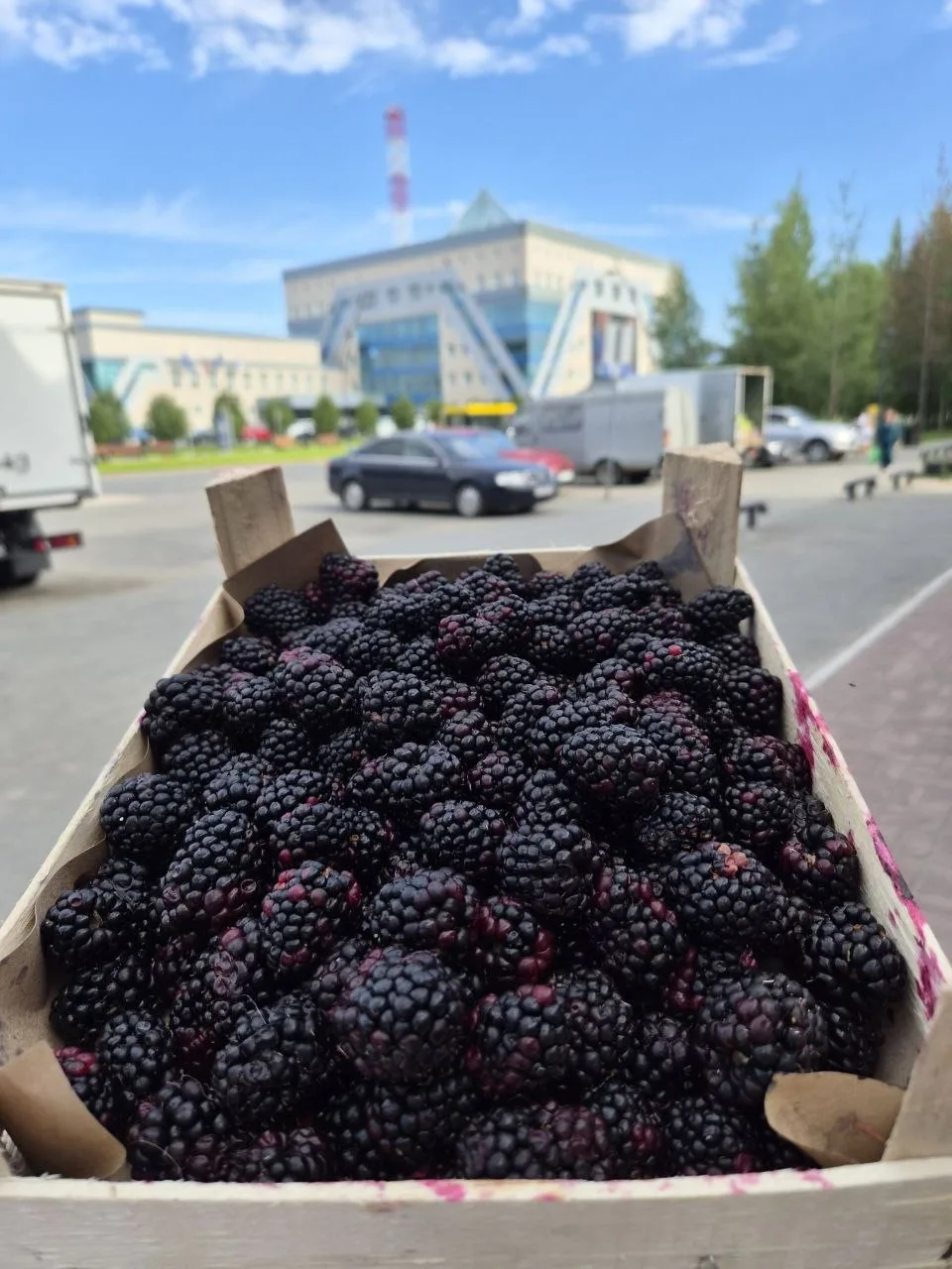 🍓✨️Доброго времени суток, дорогие друзья! Рады сообщить вам, что завтра , 29 июля, у нас свежее пос