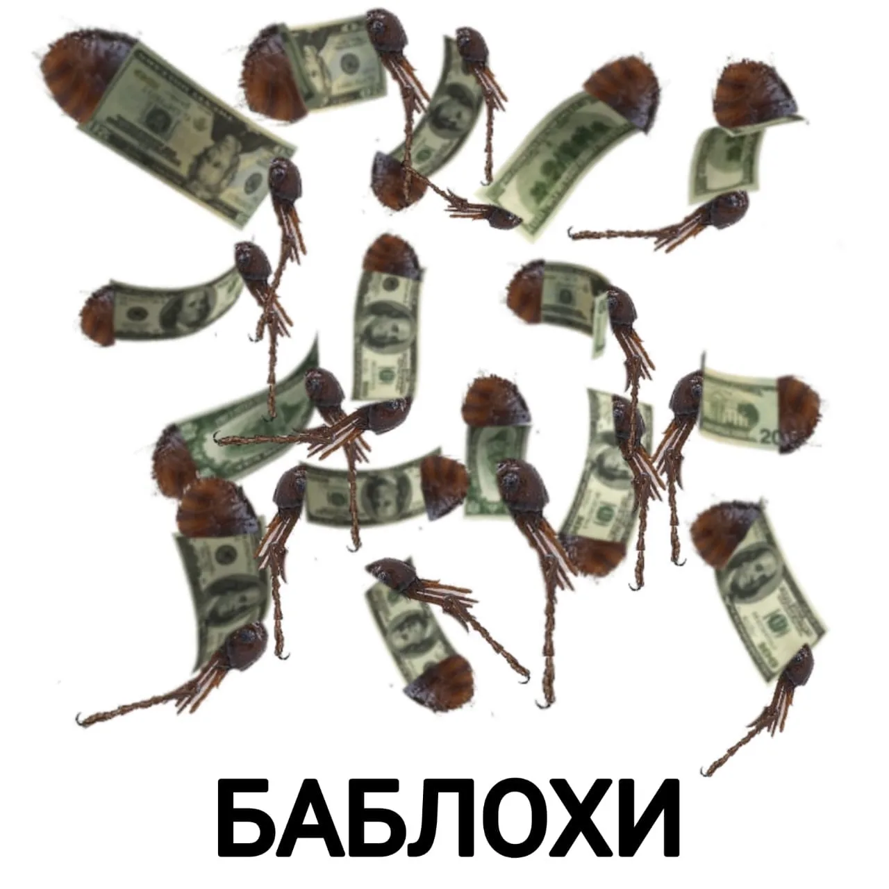Ты кого баблохом назвал ?