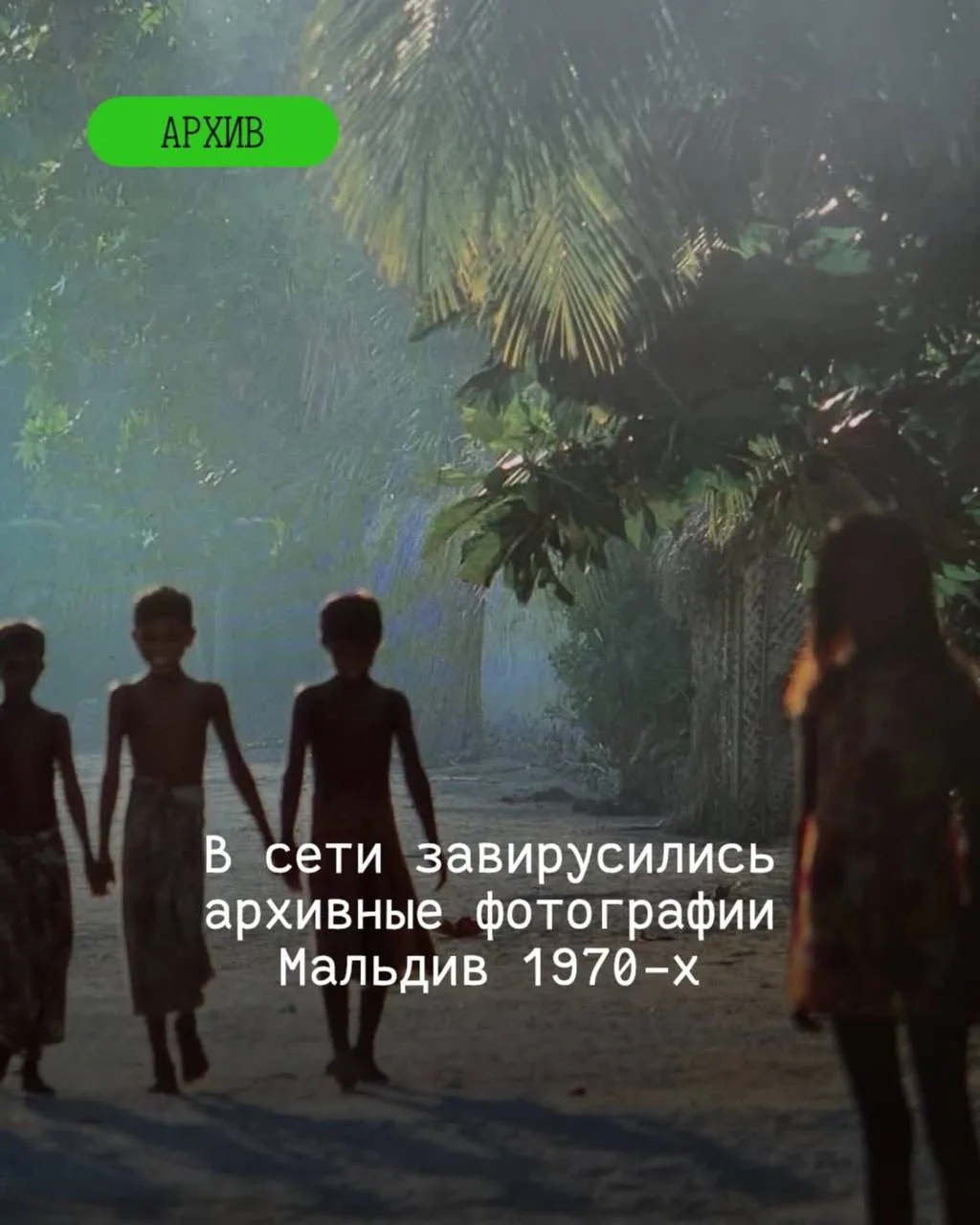📸Мальдивы до эпохи роскошных курортов. Редкие кадры 1970-х годов.

А вы знали, что еще 50 лет назад