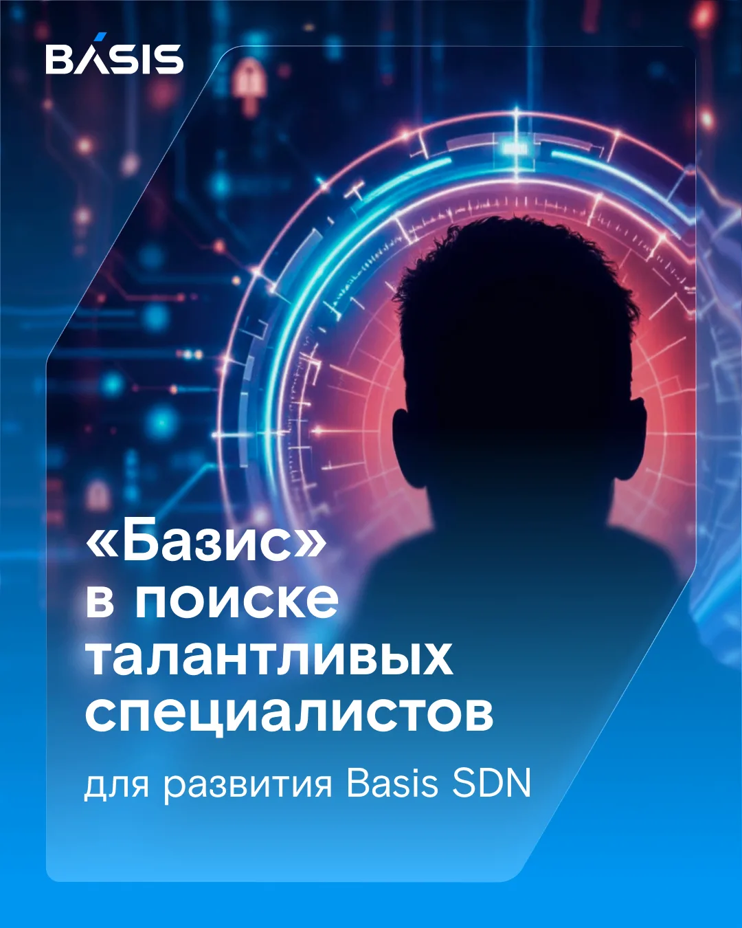 Горячие вакансии в «Базисе» для тех, кто хочет развивать вместе с нами Basis SDN — первое самостояте