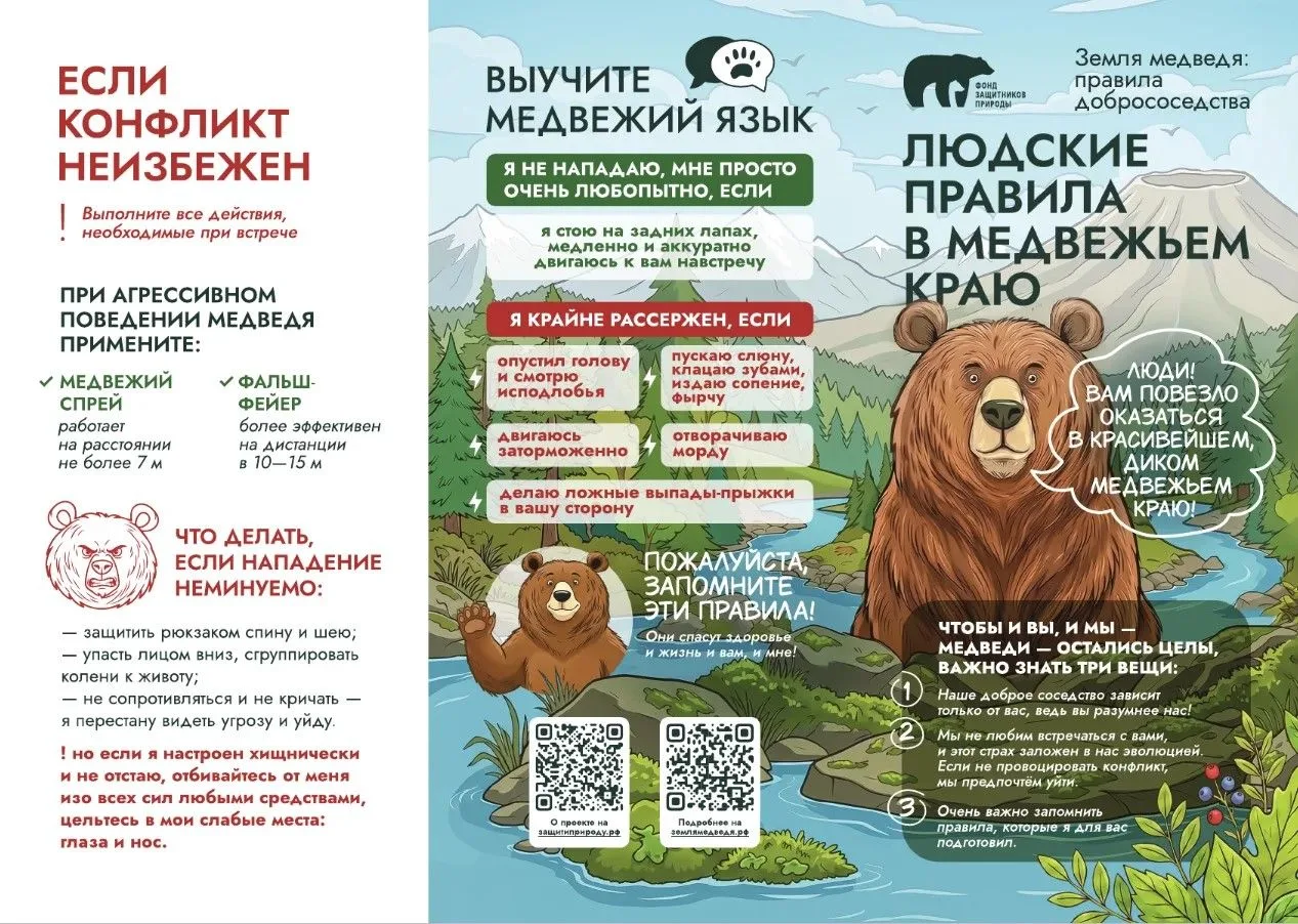 Как вести себя при встрече с медведем?

На Ямале, как и в других регионах России, где обитают медвед