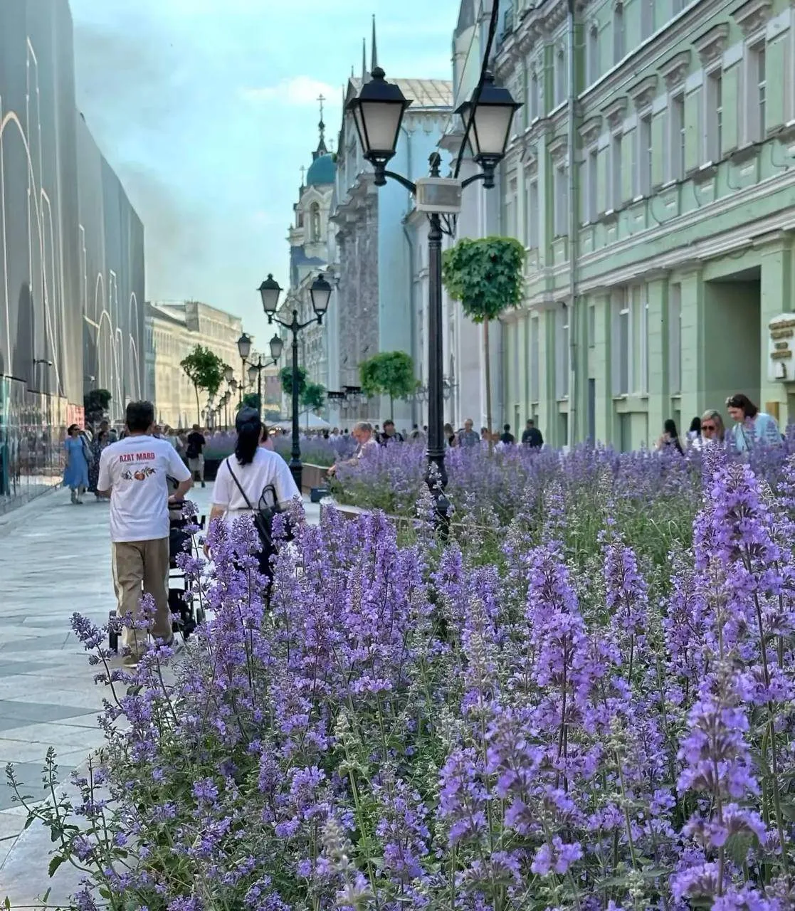 В рамках фестиваля «Сады и цветы» Никольская улица превратилась в Цветущий бульвар

Здесь высадили б