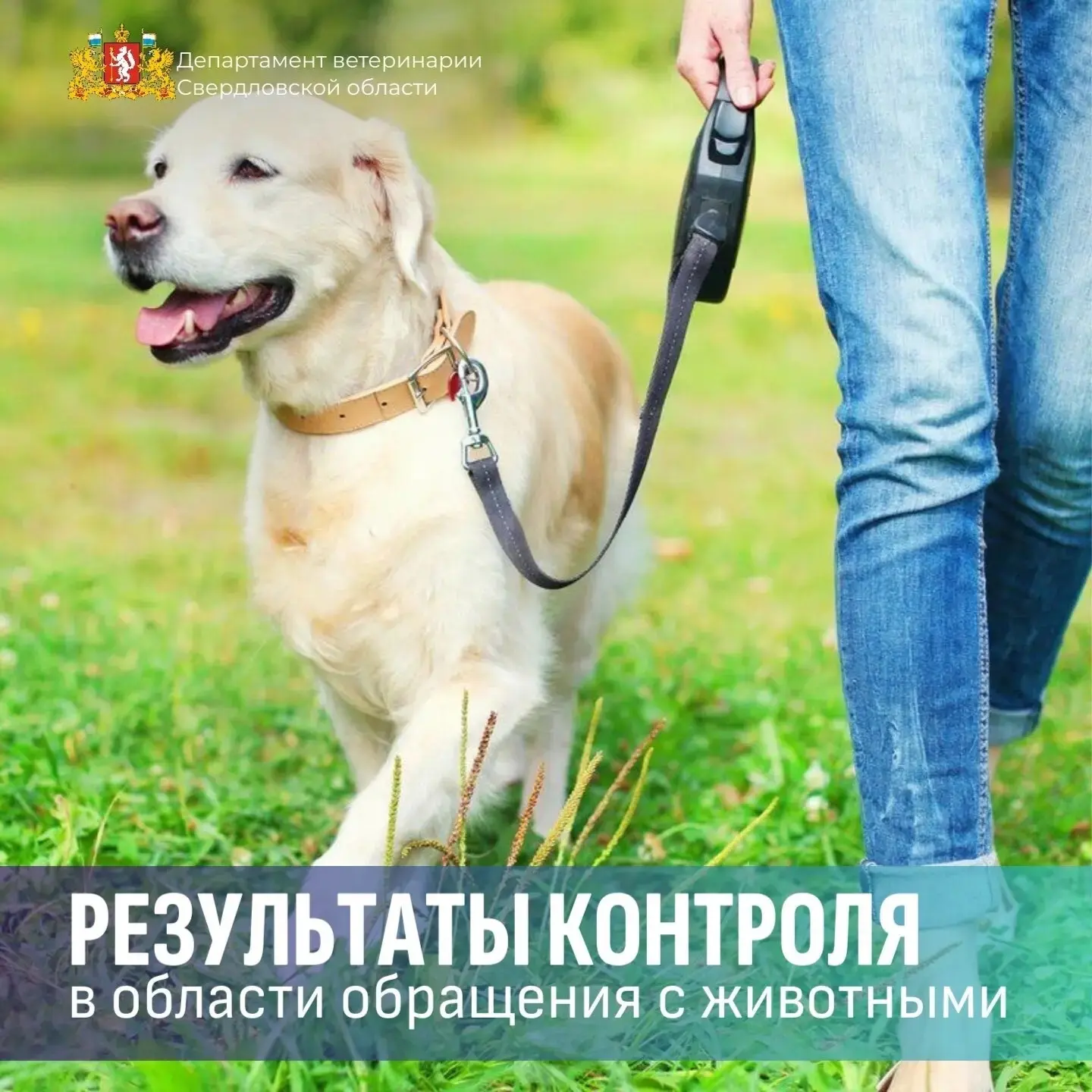 📊  Итоги работы Департамента ветеринарии Свердловской области за 4 месяца 2026 года: контроль за об