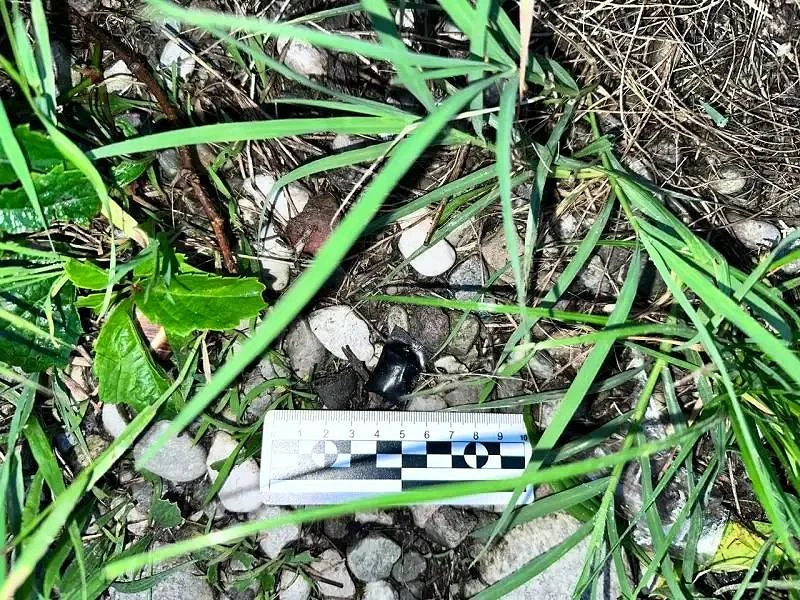 В Нальчике полицейские задержали 44-летнюю жительницу Тюменской области, подозреваемую в покушении н