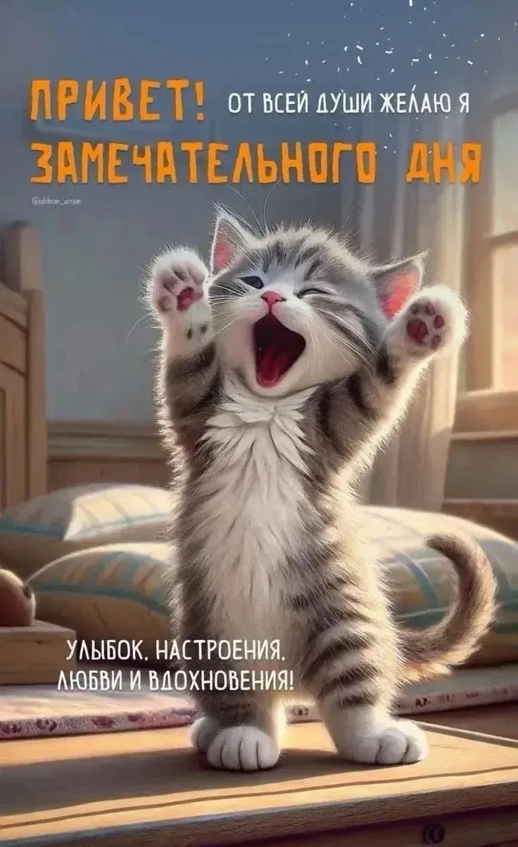 ЖИВАЯ СКАЗКА 
НАШ КАНАЛ В МАКСЕ