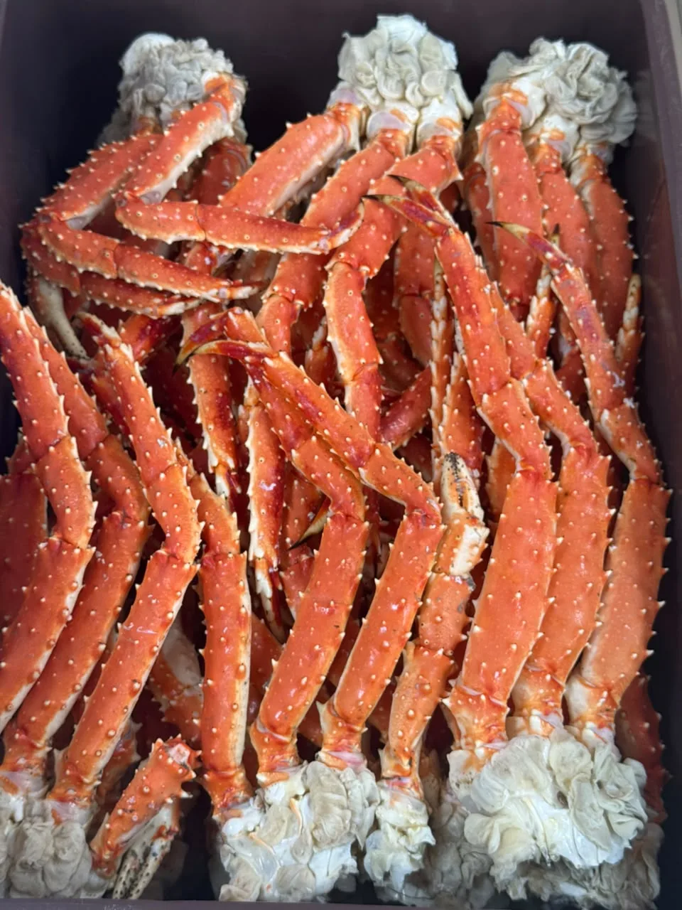 Краб 🦀 Камчатский ПАРНОЙ🔥

• Мелкий - 1.450₽/1кг✨ (вес розетки 200-300грамм)

• Средний - 2.150₽/1