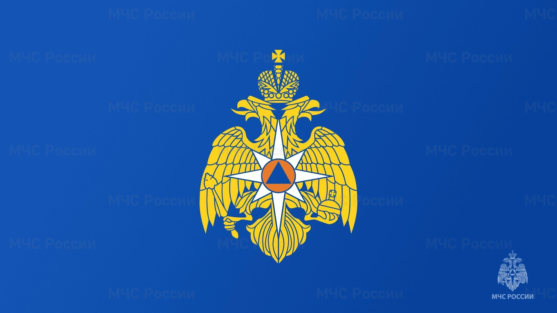 ЛЕТНЯЯ ОЗДОРОВИТЕЛЬНАЯ КАМПАНИЯ 
ПРОФЕССИОНАЛЬНЫЕ ПРОБЫ
Я, Дьяконова Арина, ученица 10 А класса, про