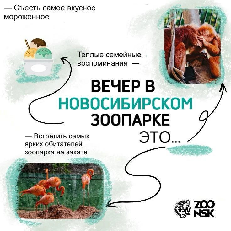 Вечером зоопарк становится особенно уютным и очень комфортным для прогулок ❤️