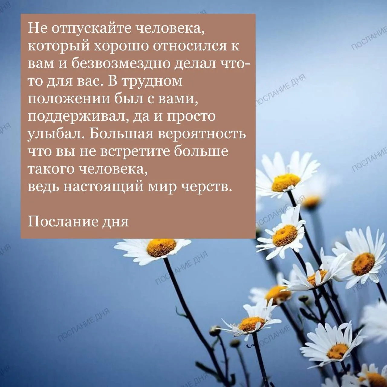 Послание дня