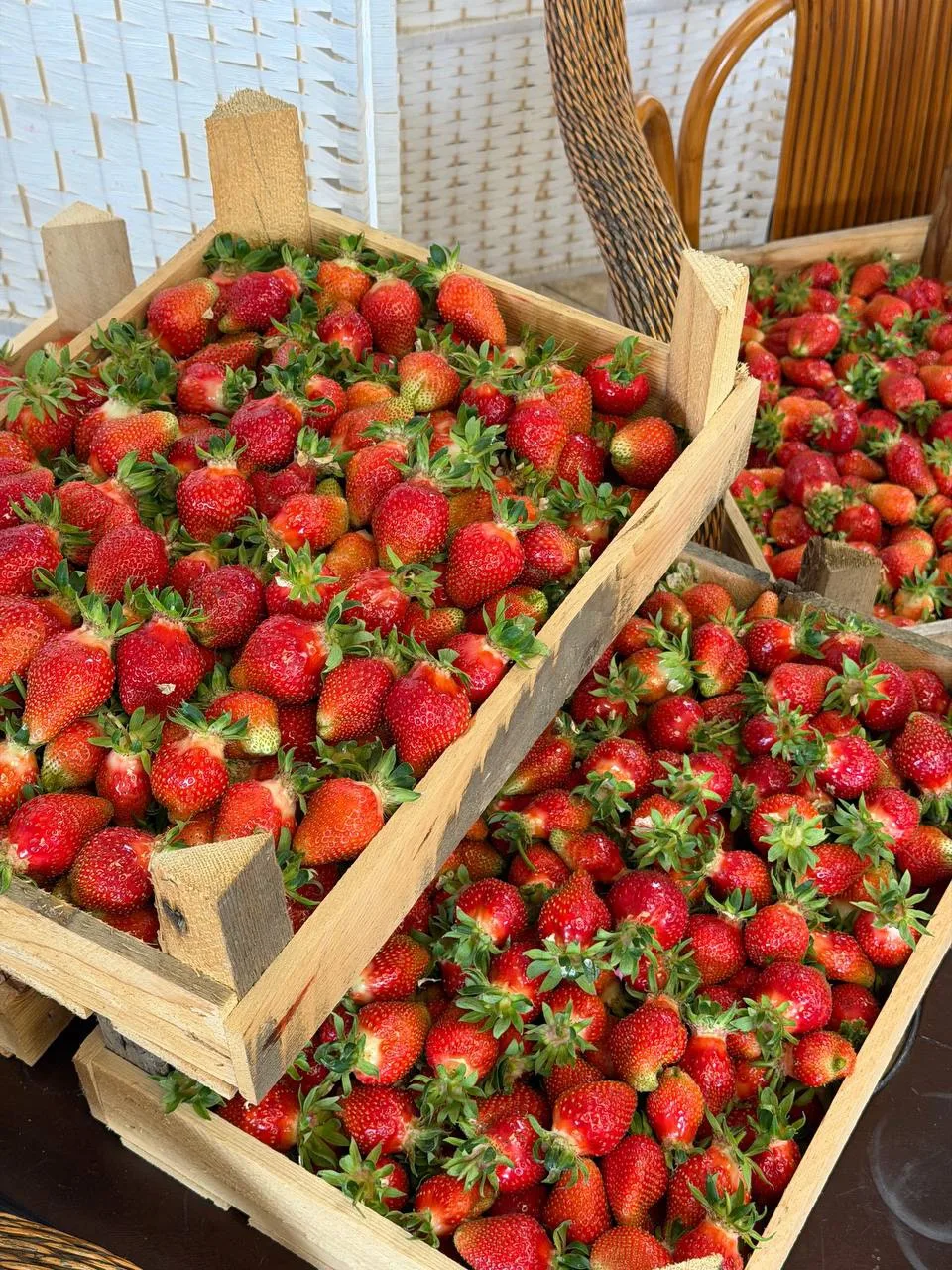 🍓Друзья, мы договорились и вводим вторую поставку клубники на неделе 

🍓Сорт - Джоли
🍓Дата постав