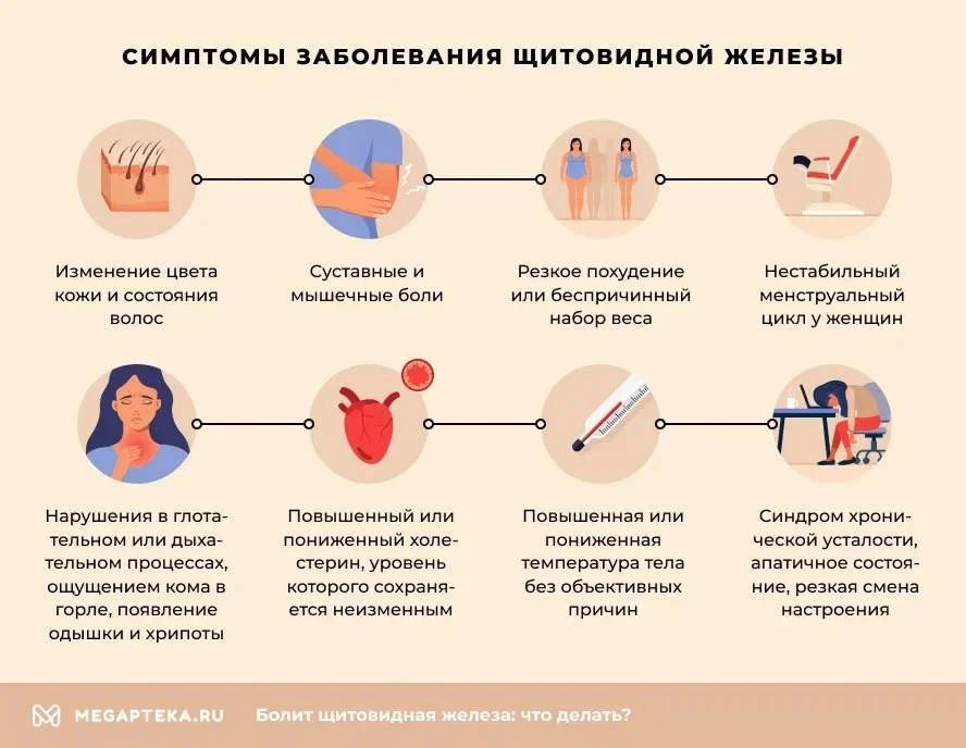 Щитовидная железа отвечает за выработку гормонов в нашем организме
                                 