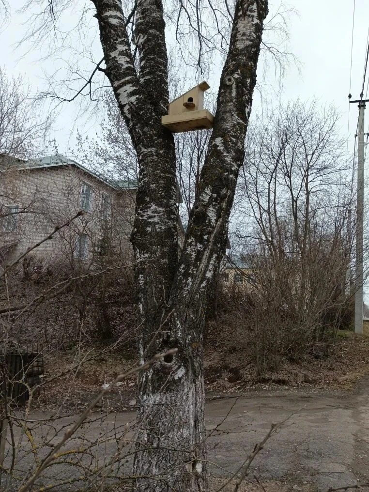 🐦🏠 Акция «Осуществи мечту скворца»

Весна - это время возвращения перелетных птиц на родину. Этот 