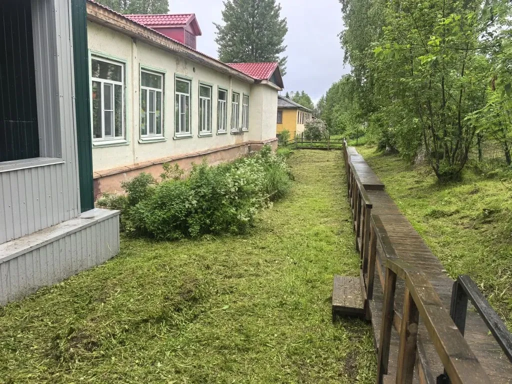 🌿 Новости благоустройства нашей школы! 🌿Рады сообщить, что на территории школы покошена трава — ра
